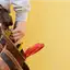 Handyman repair service in West Palm Beach, FL for home fixes and improvements