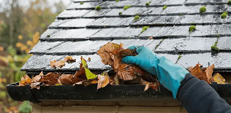 Gutter cleaning technician clearing wet leaves from roof gutters in West Palm Beach, FL